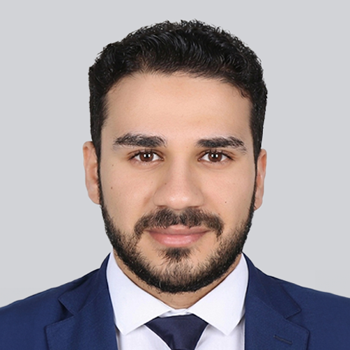 Mr. Mohamed Elkialy